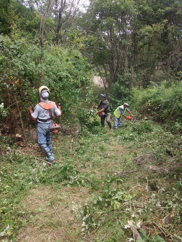 Limpeza de Bermas, Valetas