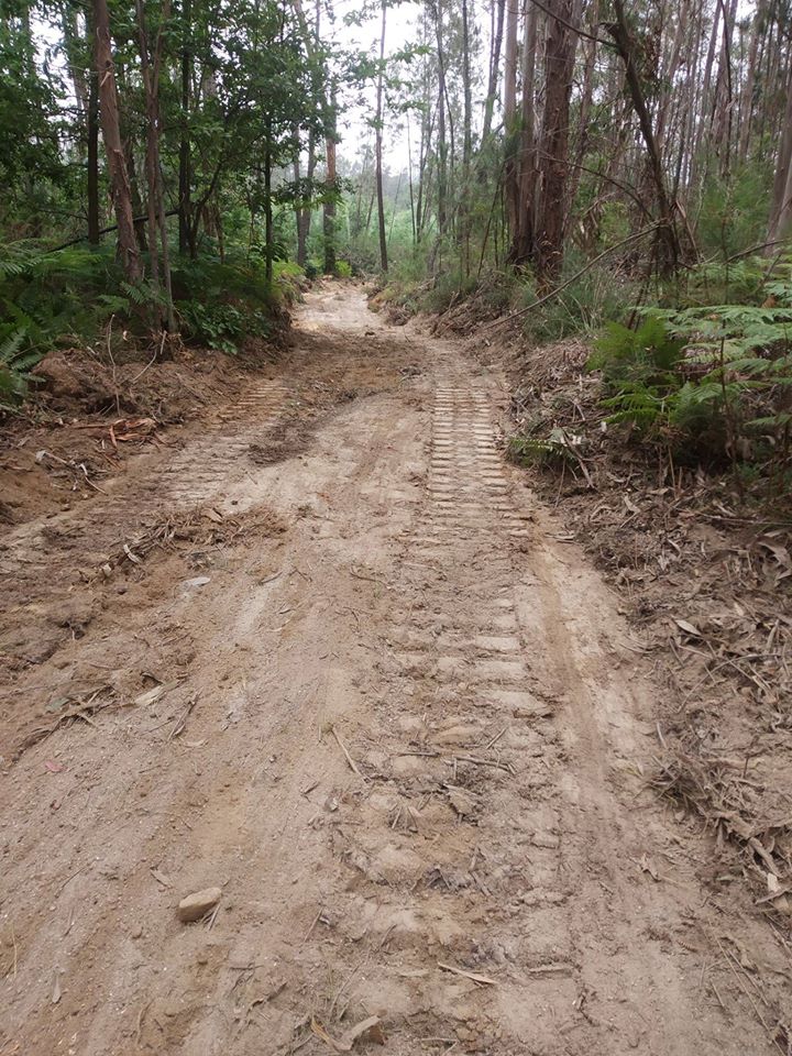 Limpeza de Bermas, Valetas