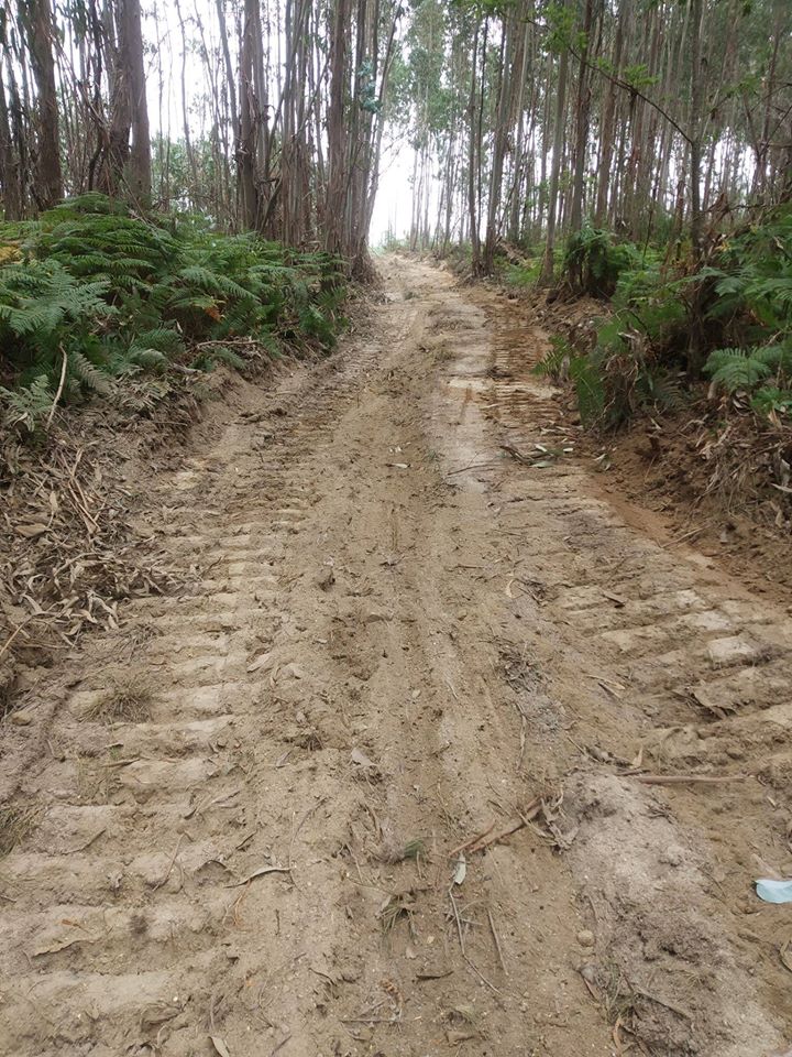 Limpeza de Bermas, Valetas