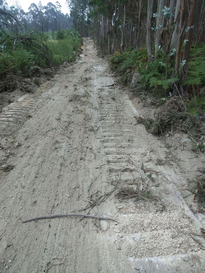 Limpeza de Bermas, Valetas